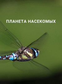 Планета насекомых (2022)