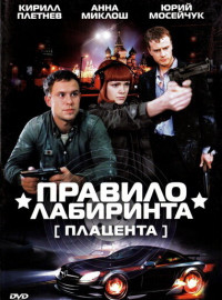  :  (2009)