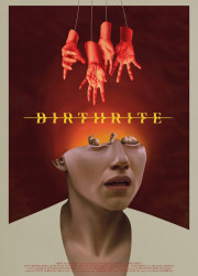   (2025)