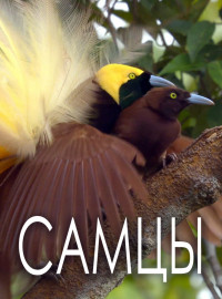  (2019)