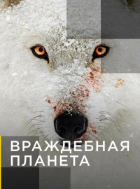   (2019)